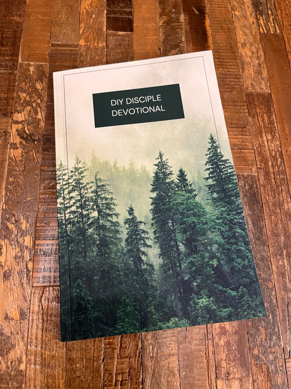 DIY Disciple Devotional